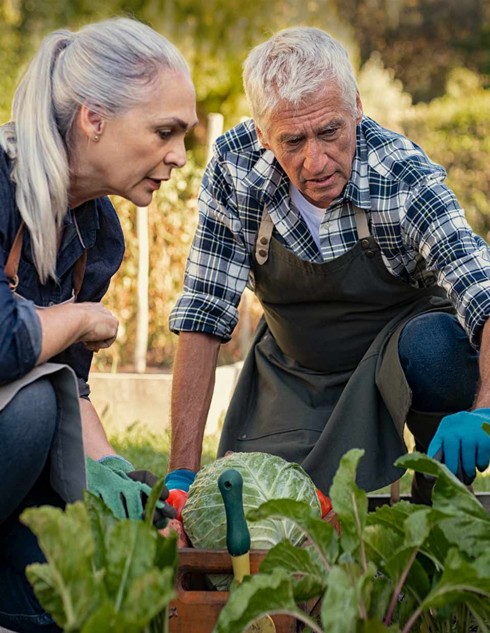 promo image for older couple working on small farm